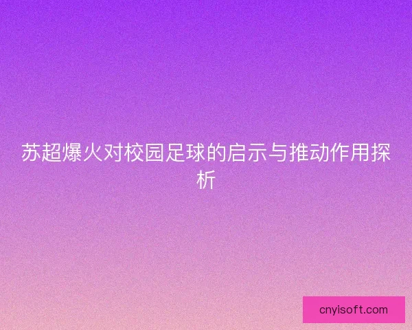 苏超爆火对校园足球的启示与推动作用探析